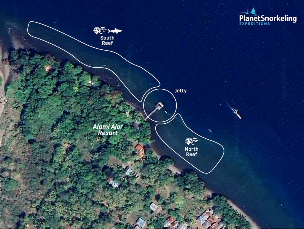 Alami Alor House Reef Snorkel Map