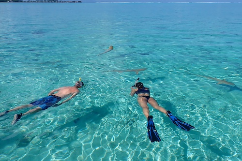 Self guided snorkeling trip in French Polynesia