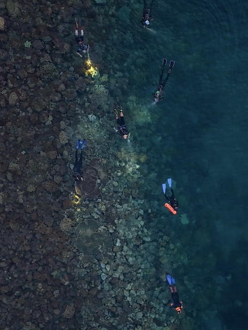 slides-planet-snorkeling - 10