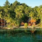 Snorkeling Expedition Solomon Islands