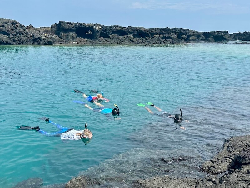 Snorkeling in Lava Pools